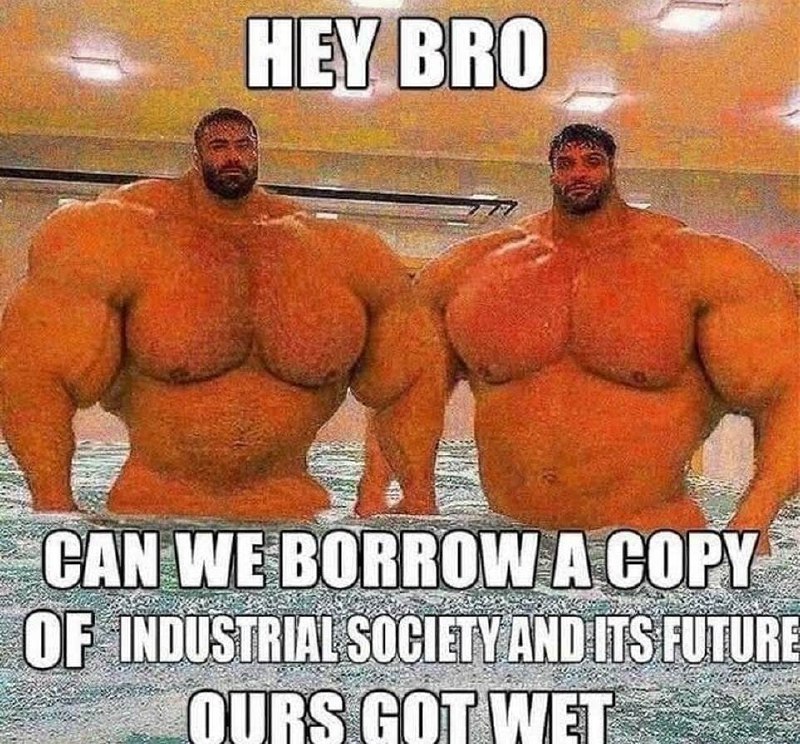 Hey bro can we borrow a copy of industrial society and its future ours got wet Два накачанных брата, которые выглядят как бодибилдеры, просят одолжить им книгу «Индустриальное общество и его будущее», потому что их экземпляр промок
