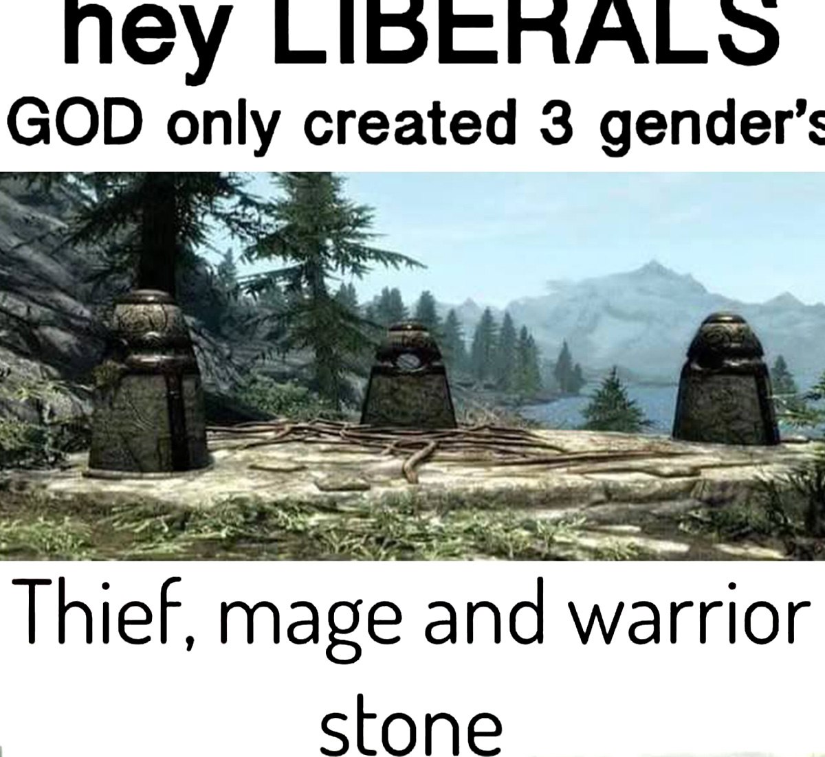 Hey LIBERALS, GOD only created 3 gender's Мем про три гендера, которые создал бог: Камень Вора, Камень Мага и Камень Воина из игры Skyrim