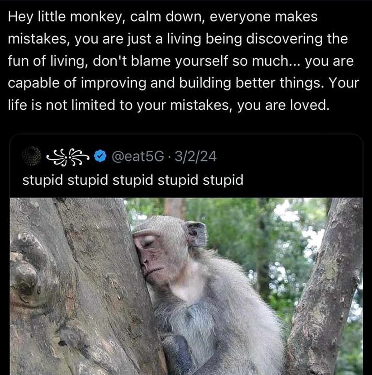 Hey little monkey, stupid stupid stupid Обезьяна, которая думает, что она глупая
