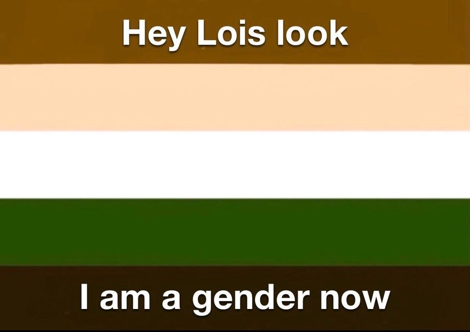 Я гендер теперь Флаг с текстом «Hey Lois look, I am a gender now»