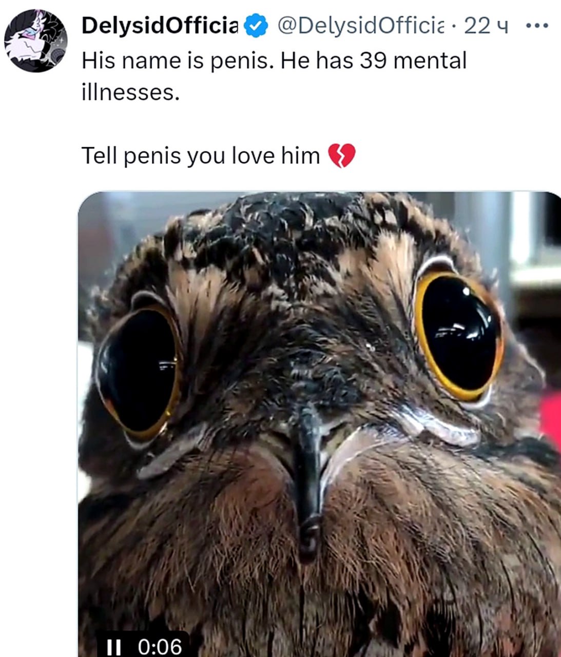 His name is penis Его зовут пенис, у него 39 психических заболеваний