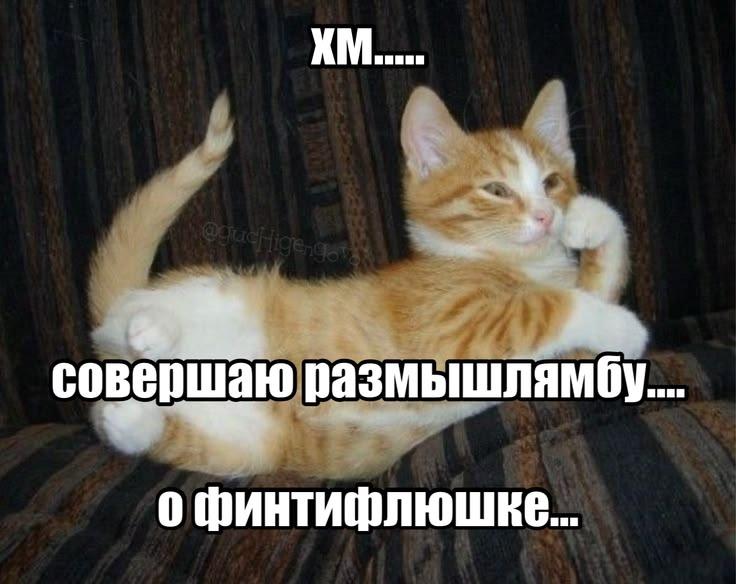 Задумчивый рыжий кот с надписью: «Хм.... совершаю размышлямбу.... о финтифлюшке...»