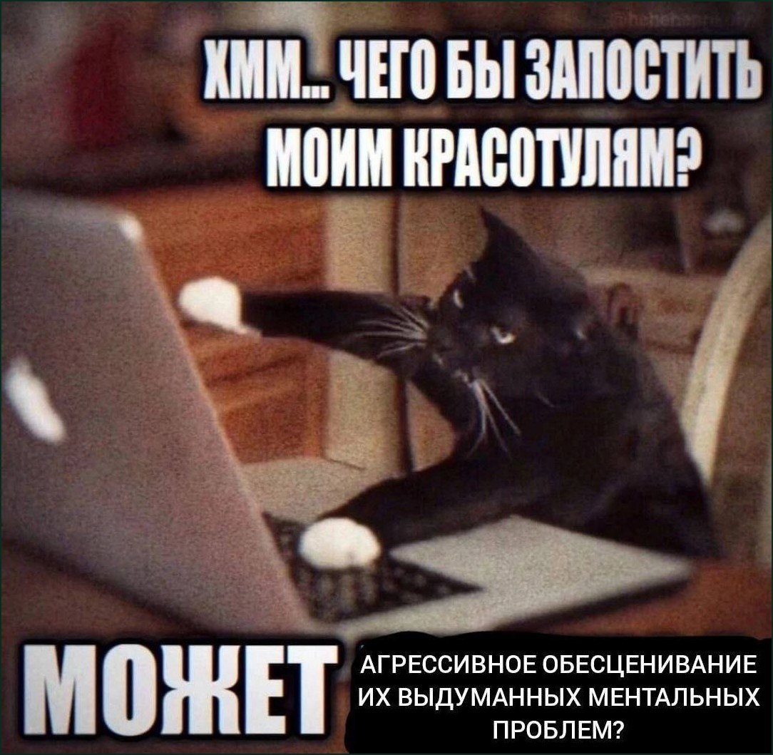 Чёрный кот с белыми лапами сидит за ноутбуком и думает, что бы запостить своим подписчикам.