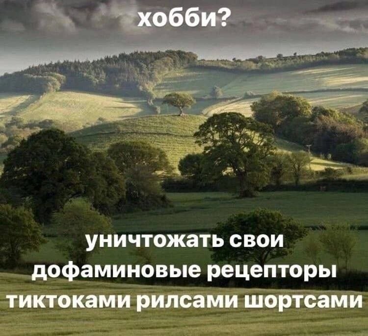 Ироничный мем о хобби — бесконечно смотреть TikTok, Reels и Shorts вместо полезных занятий.
