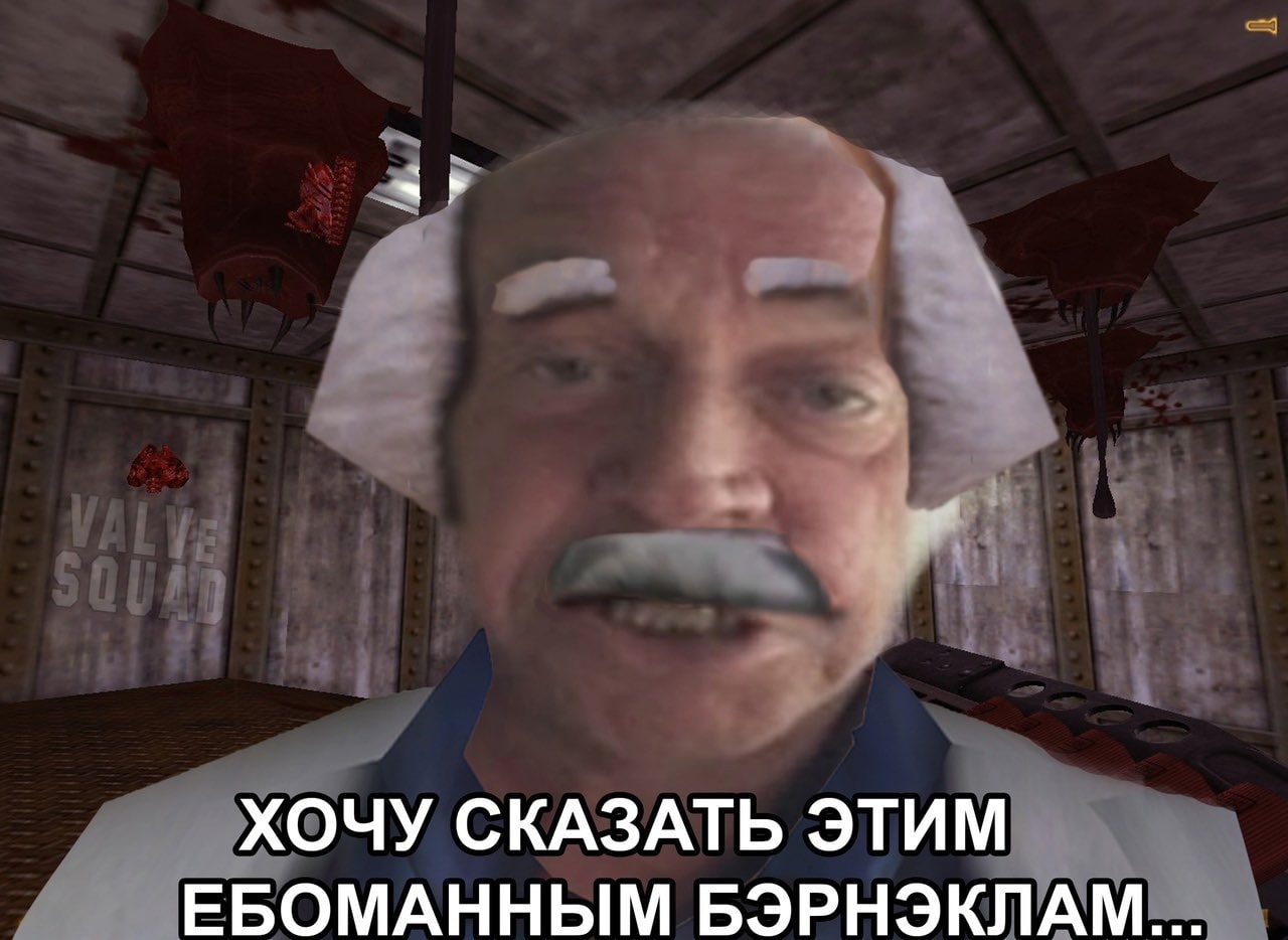 Хочу сказать этим ебоманным бёрнэклам Доктор Кляйнер из игры Half-Life 2 с усами и густой бородой из Half-Life 1, который смотрит прямо на зрителя и говорит, что хочет сказать неким «ебоманным бёрнэклам». На заднем плане видны части карты из Half-Life 2 и кровавые следы.