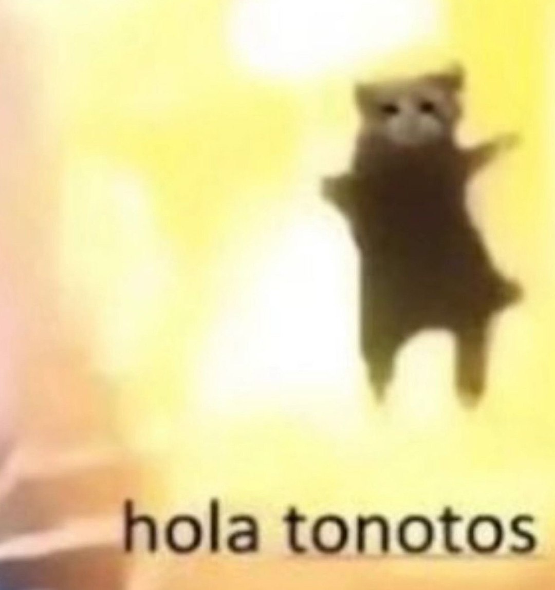 Кот "hola tonotos" Коричневый кот, стоящий на задних лапах, с текстом "hola tonotos" на переднем плане.