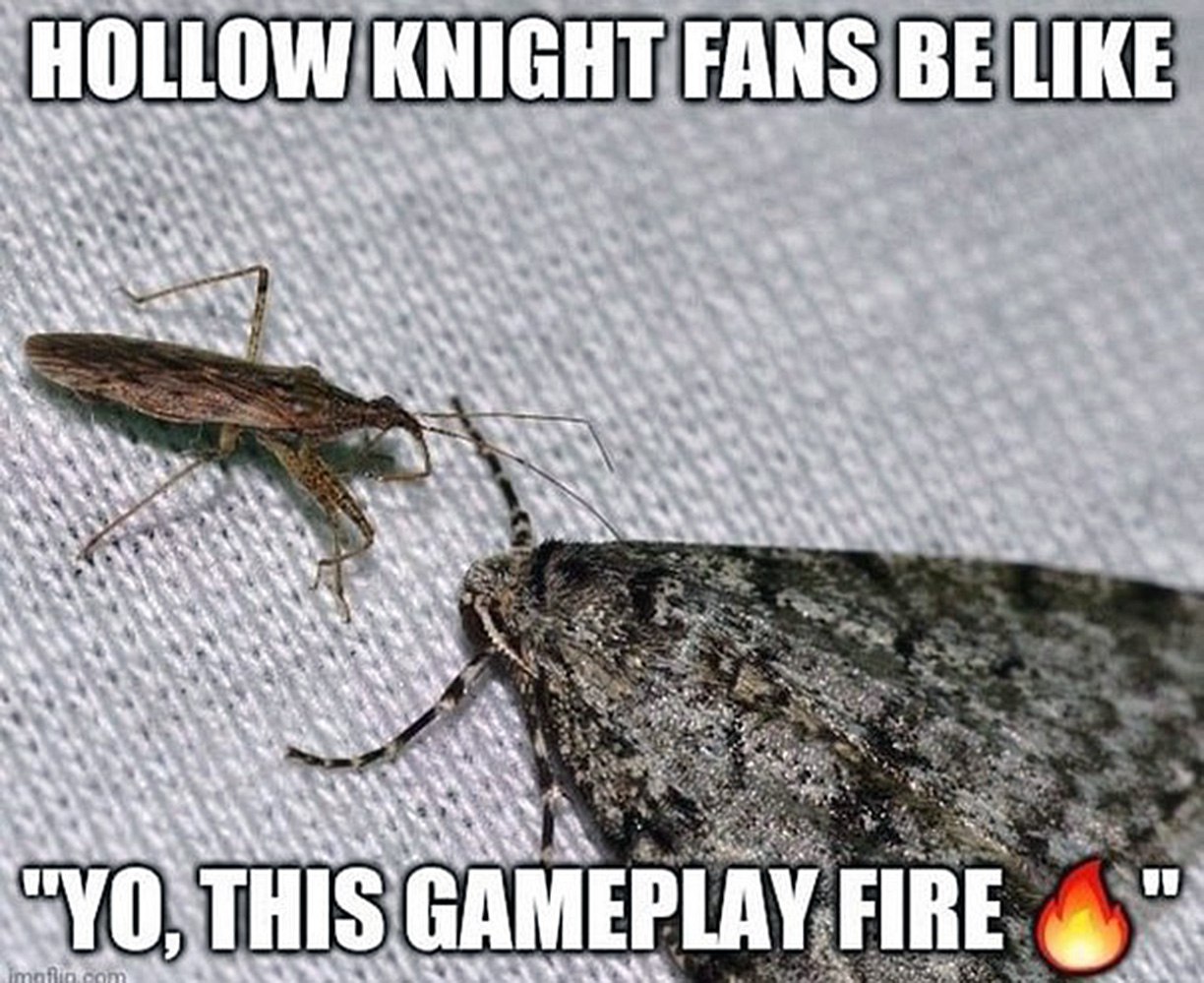 Hollow Knight fans be like Мем с насекомыми и надписью «Hollow Knight fans be like yo, this gameplay fire»
