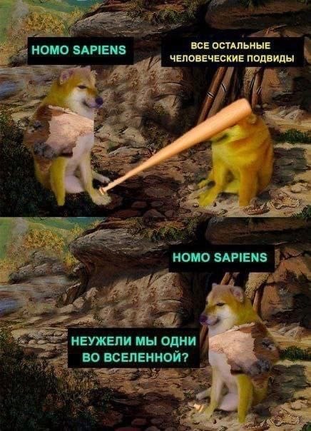 Двухкадровый мем про Homo sapiens и остальные человеческие подвиды: сначала драка, потом вопрос «Неужели мы одни во Вселенной?»