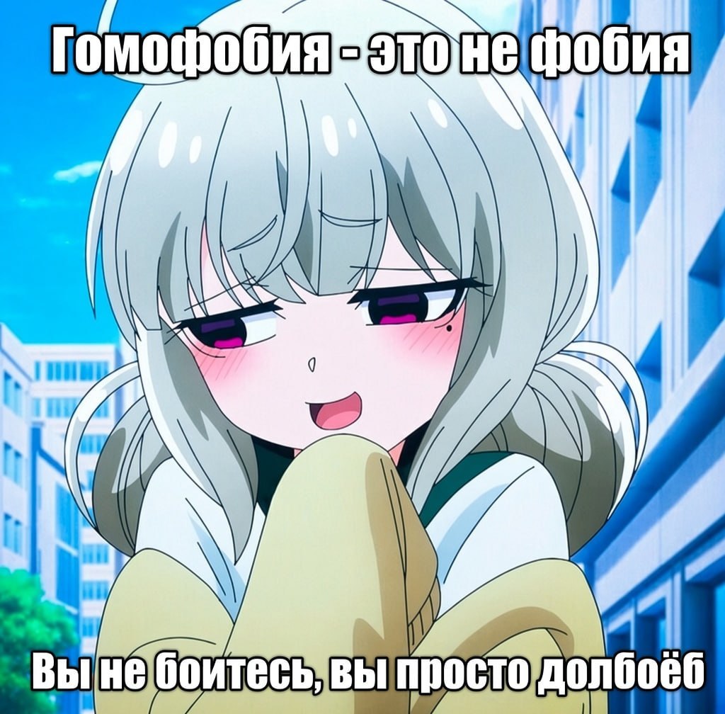 Аниме-девушка с насмешливым выражением лица и надписью «Гомофобия — это не фобия. Вы не бойтесь, вы просто долбоёб».