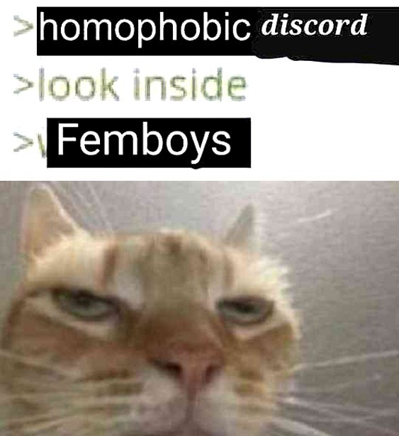 Homophobic discord look inside Femboy Кот с недовольным взглядом и текст "homophobic discord look inside Femboy"