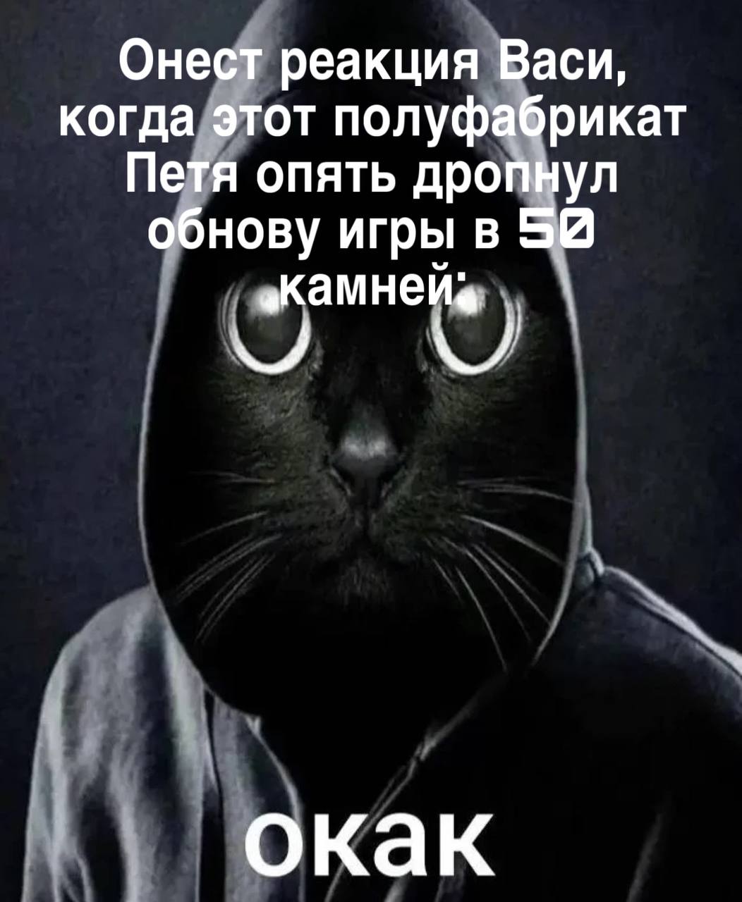 Онест реакция Васи, когда Петя дропнул обнову Мем с черным котом в худи и надписью «Онест реакция Васи, когда этот полуфабрикат Петя опять дропнул обнову игры в 50 камней. Окак»