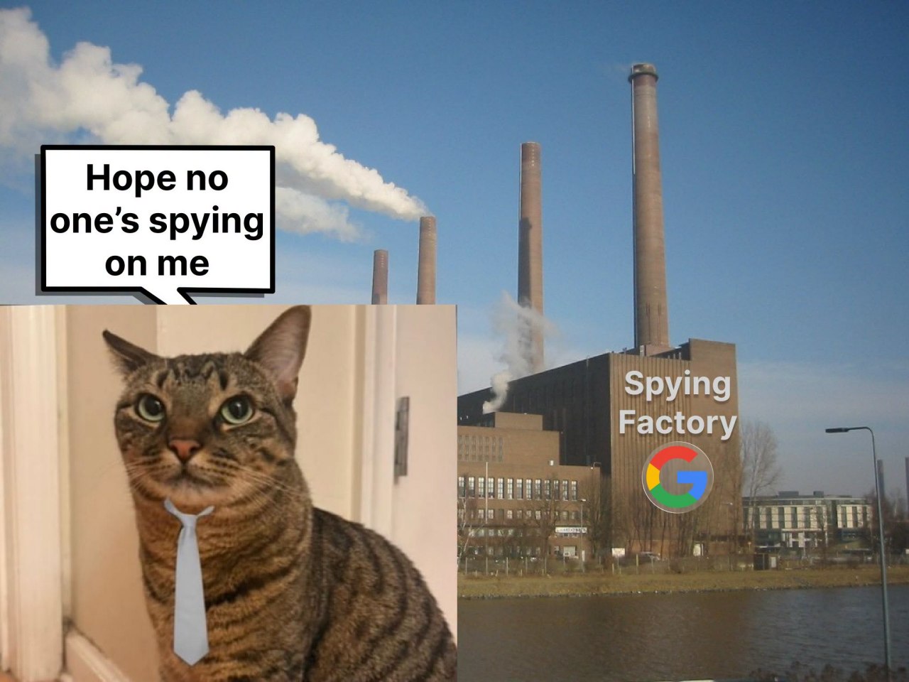 Кот в галстуке говорит «Hope no one’s spying on me», а на фоне показана «Spying Factory» с логотипом Google.