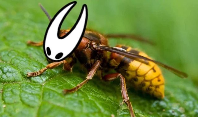 Оса с головой Хорнет из Hollow Knight на зеленом листе