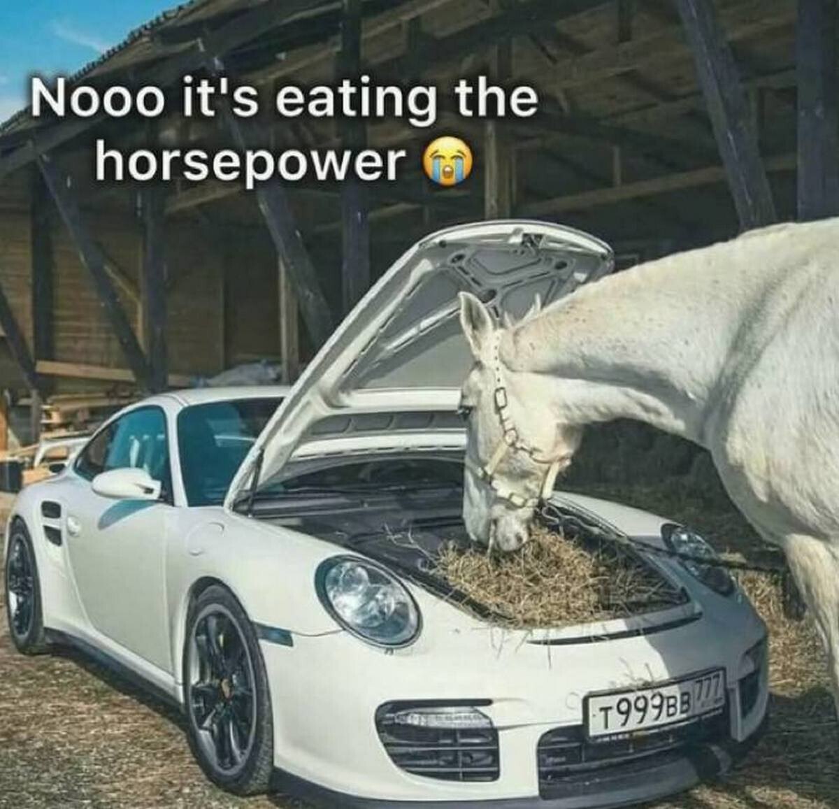 Лошадь ест сено из Porsche На изображении белая лошадь ест сено, которое лежит под открытым капотом белого автомобиля Porsche