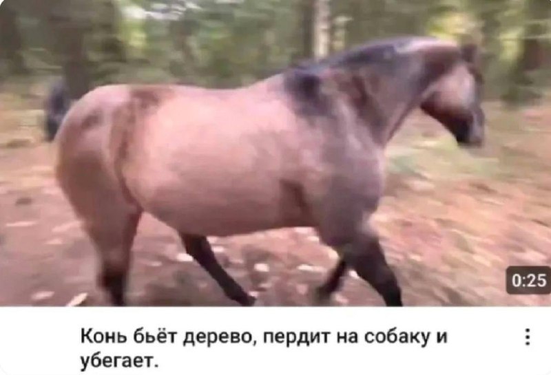 Конь бьёт дерево, пердит на собаку и убегает Лошадь коричневого цвета с черными гривой и хвостом на видео с субтитрами из ютуба.