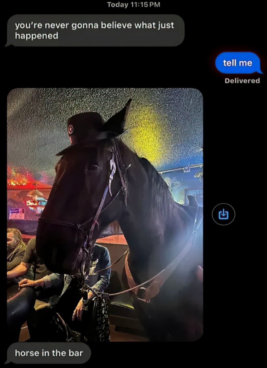 Horse in the bar Лошадь в баре в шляпе в мессенджере