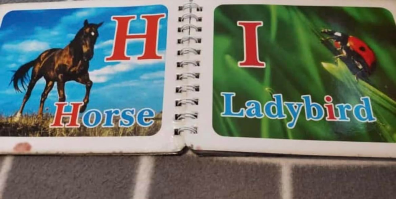 Учебник Horse и Ladybird Учебник со словами Horse и Ladybird