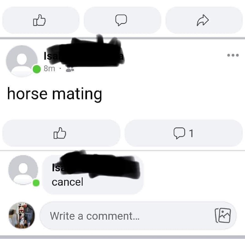 Horse mating cancel Скриншот с сайта, где пользователь пытается найти «horse mating», но сразу же пытается отменить запрос, написав «cancel» в комментариях.