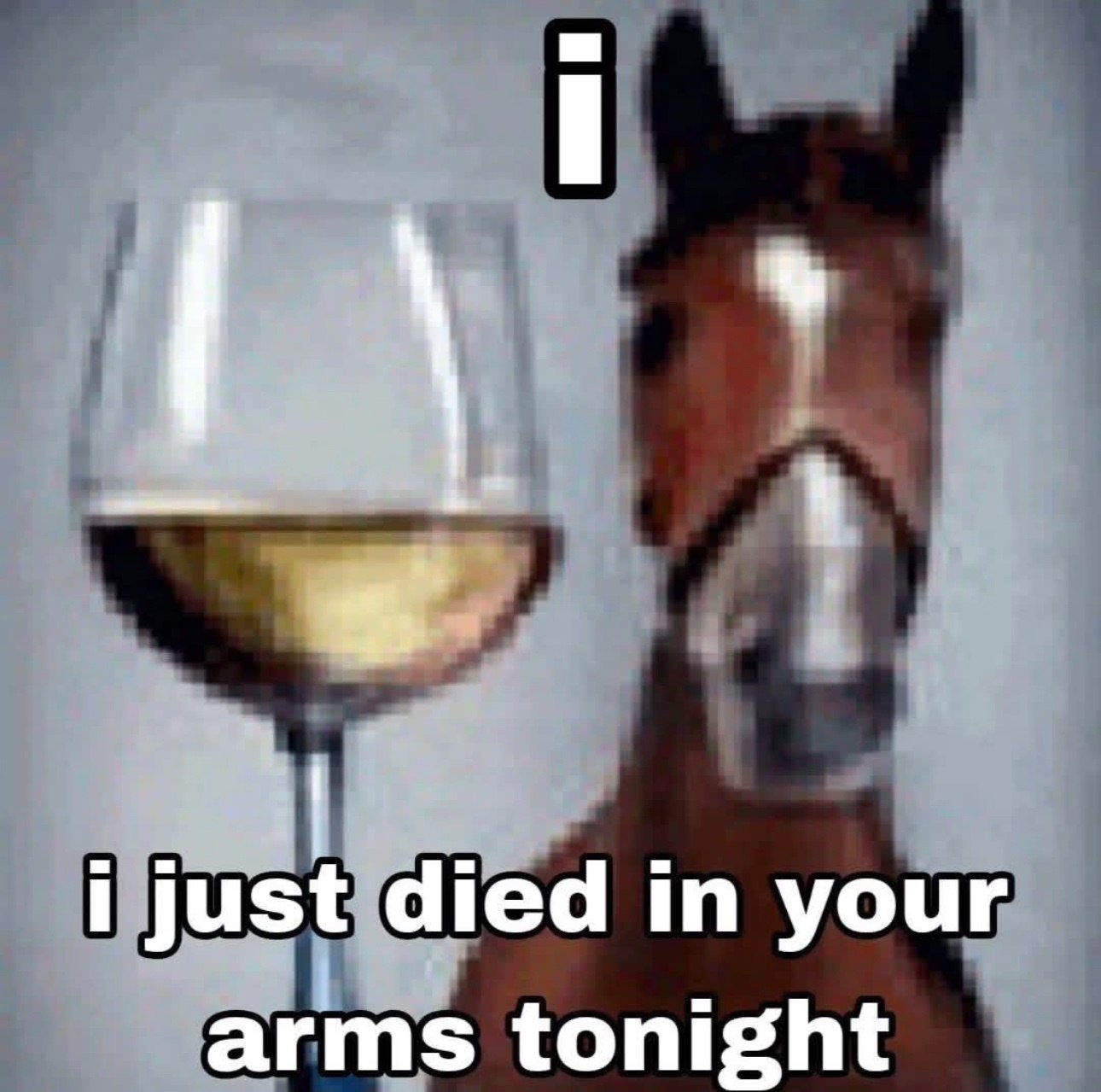 Лошадь с бокалом вина и текстом i just died in your arms tonight Мем с лошадью и бокалом вина, а также надписью i just died in your arms tonight.