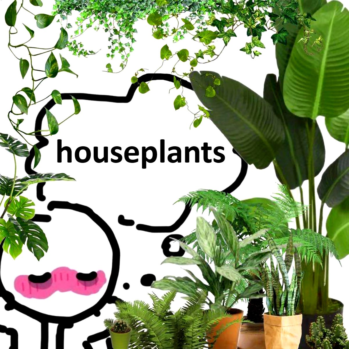 Houseplants Человечек думает о комнатных растениях.