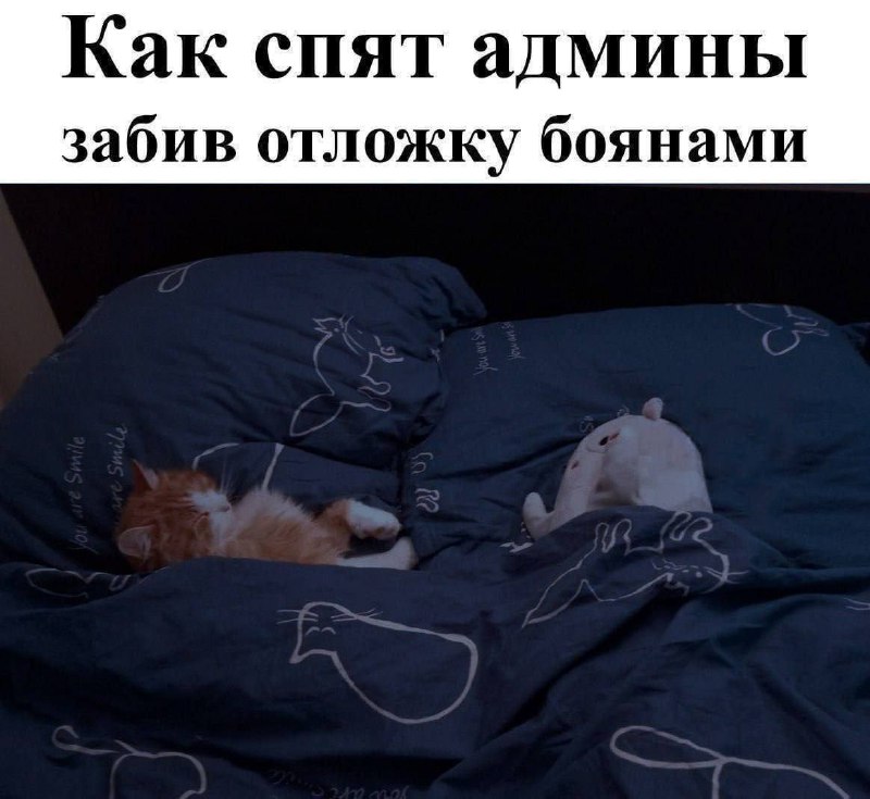 Как спят админы забив отложку боянами Админ-котёнок спит под одеялом с котиками, забив отложку боянами