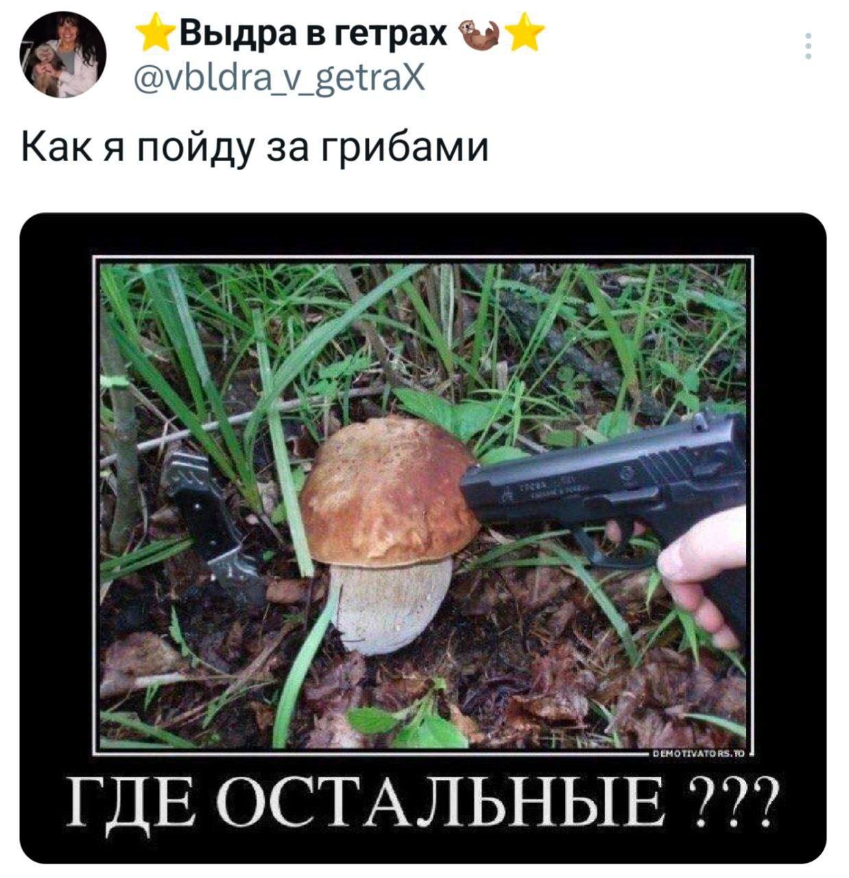 Как я пойду за грибами Где остальные Человек с пистолетом угрожает грибу, спрашивая: "Где остальные?" как я пойду за грибами
