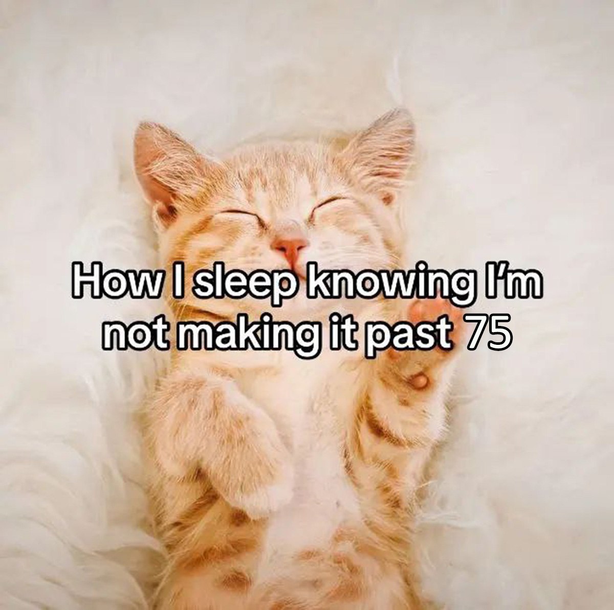 How I sleep knowing I'm not making it past 75 Котёнок спит, зная, что не доживёт до 75 лет
