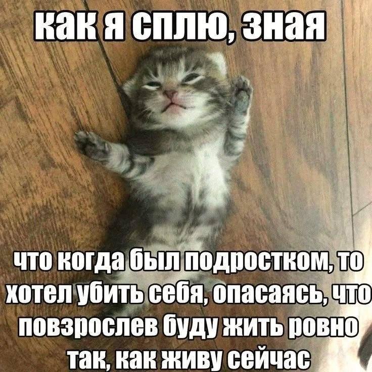 Сонный котёнок лежит на полу с невозмутимым видом и шутит о подростковых страхах и взрослой жизни