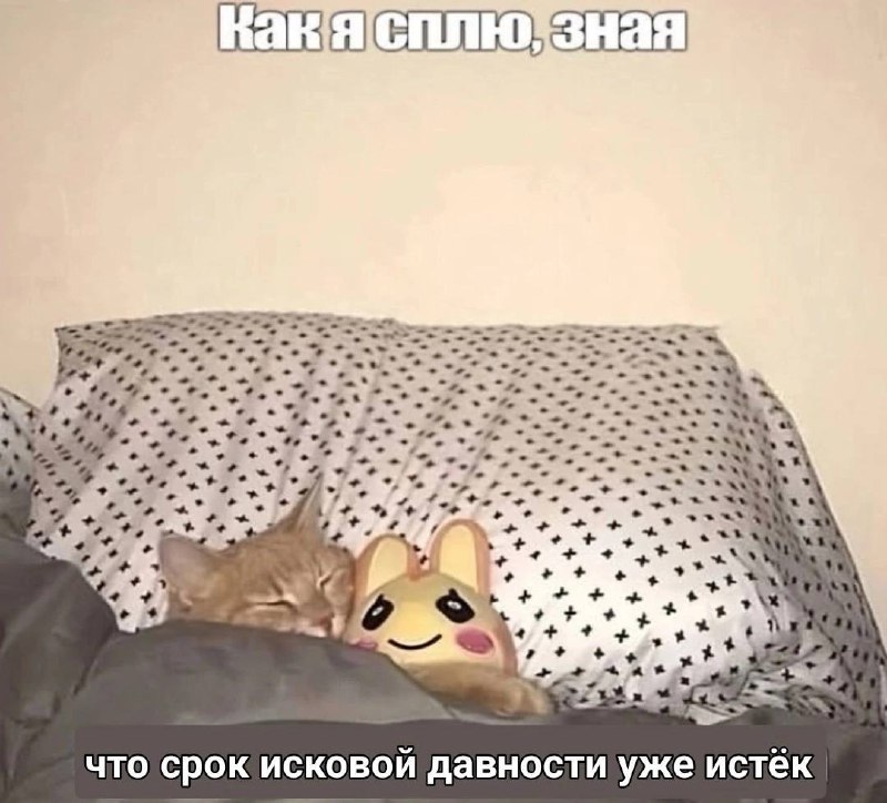 Как я сплю, зная, что срок исковой давности уже истёк Мем про кота, который спокойно спит, зная, что срок исковой давности истёк.