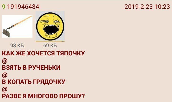 Как же хочется тяпочку Как же хочется тяпочку взять в рученьки и копать грядочку, разве я многого прошу?