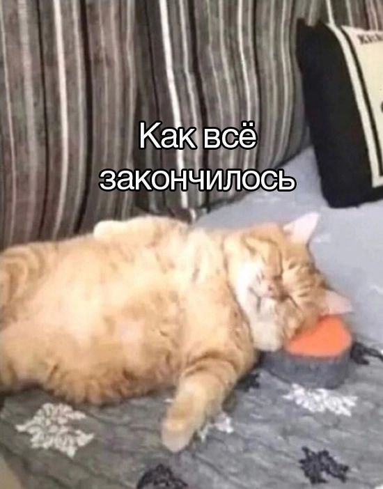 Как всё закончилось Как всё закончилось, мем с котом, спящим на подушке-буханке хлеба
