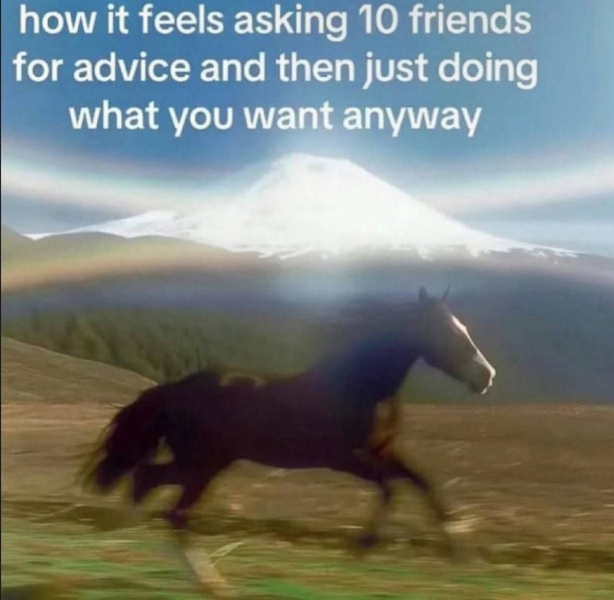 How it feels asking 10 friends for advice Лошадь на фоне горы и радуги со смешным текстом "how it feels asking 10 friends for advice and then just doing what you want anyway"