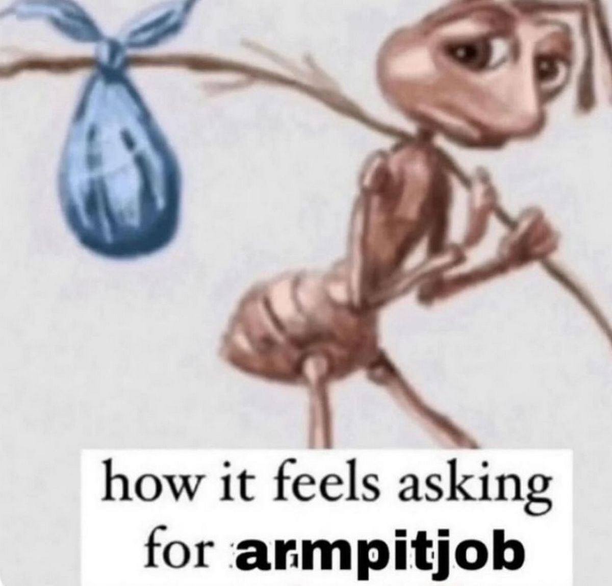 How it feels asking for armpitjob Как это ощущается, когда просишь "armpitjob"