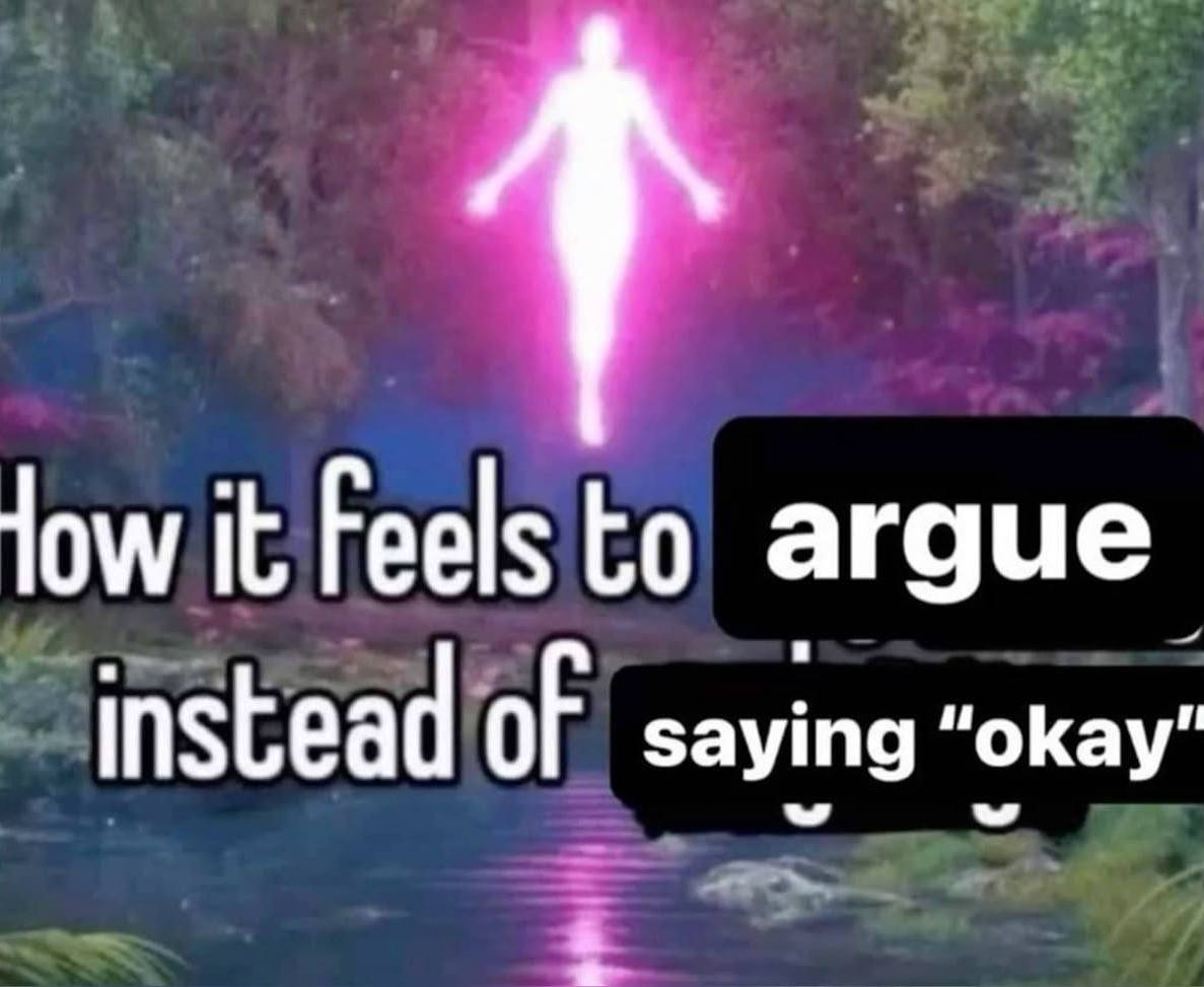 How it feels to argue instead of saying "okay" Как это ощущается, когда споришь вместо того, чтобы сказать «окей»