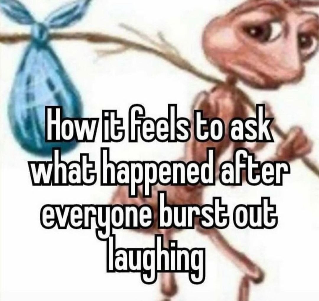How it feels to ask what happened Печальный муравей с узелком на палке в меме о том, как спросить, что случилось после того, как все рассмеялись.