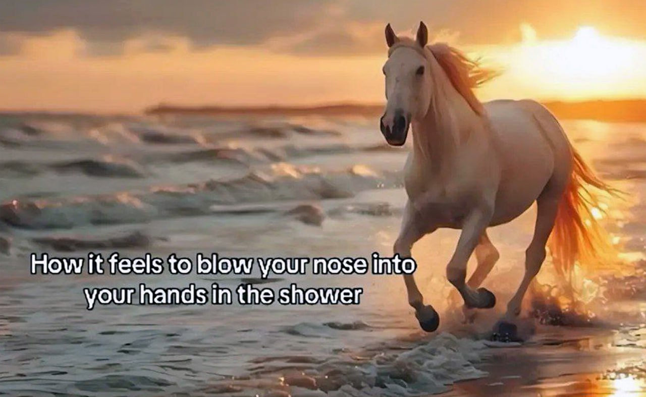 How it feels to blow your nose into your hands in the shower Лошадь бежит по воде на закате с надписью "How it feels to blow your nose into your hands in the shower"