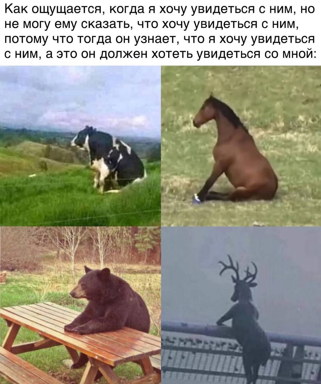 Как ощущается, когда я хочу увидеться с ним Как ощущается, когда я хочу увидеться с ним, но не могу ему сказать, что хочу увидеться с ним, потому что тогда он узнает, что я хочу увидеться с ним, а это он должен хотеть увидеться со мной.