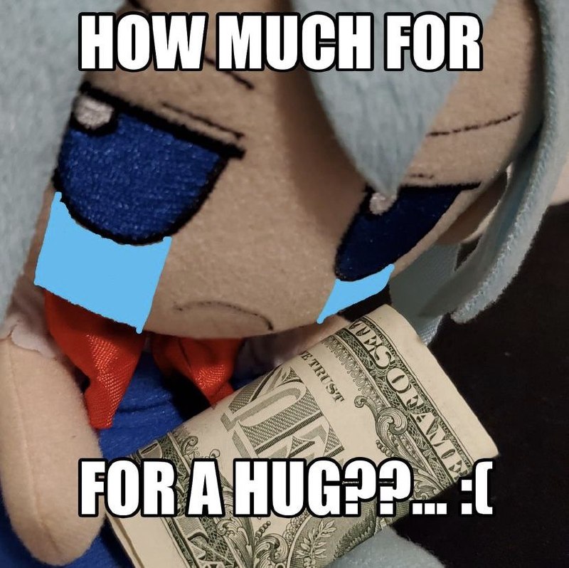 Плачущий плюшевый персонаж с долларовой купюрой и подписью «How much for a hug? ... :(»