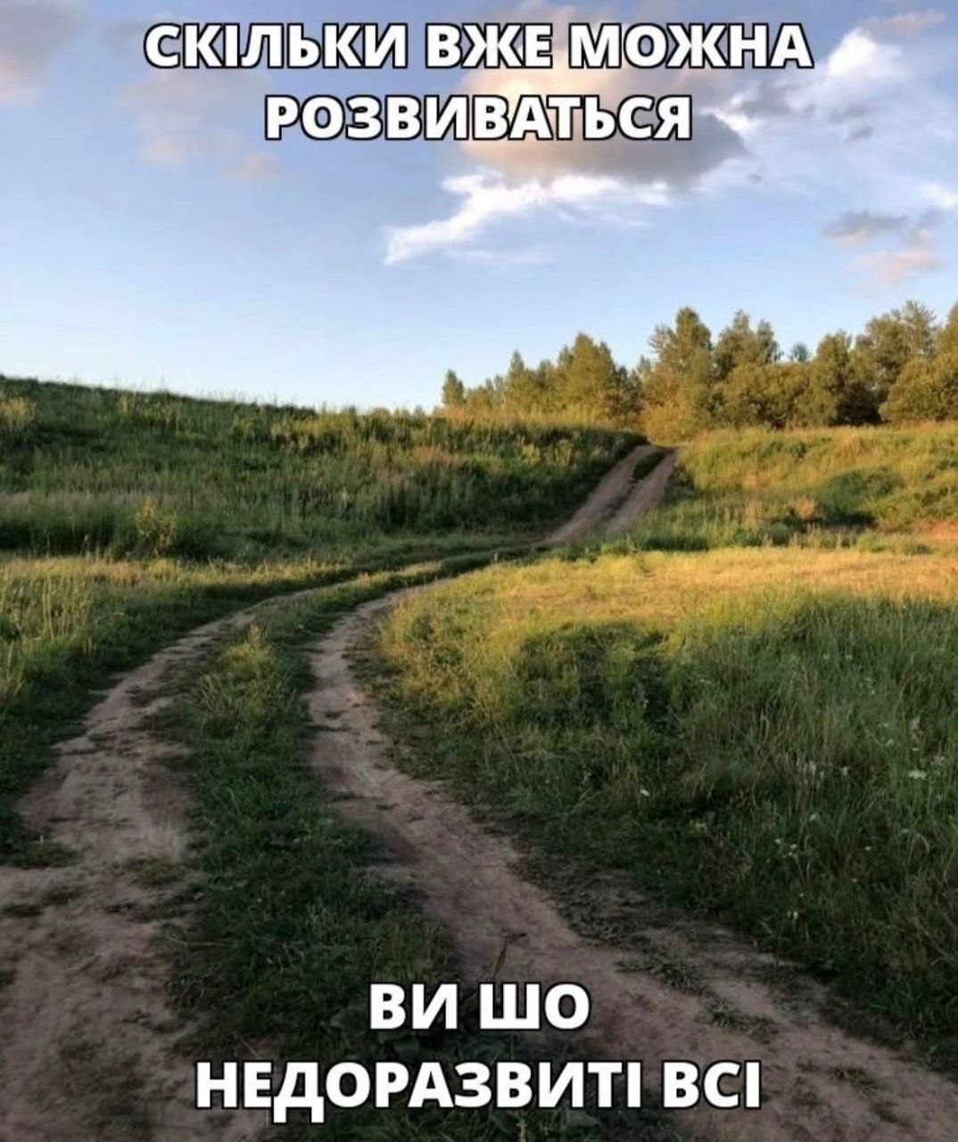 Ироничный мем о бесконечном саморазвитии с надписью «Сколько уже можно развиваться? Вы что, недоразвиты все?» на фоне просёлочной дороги и зелёного поля.