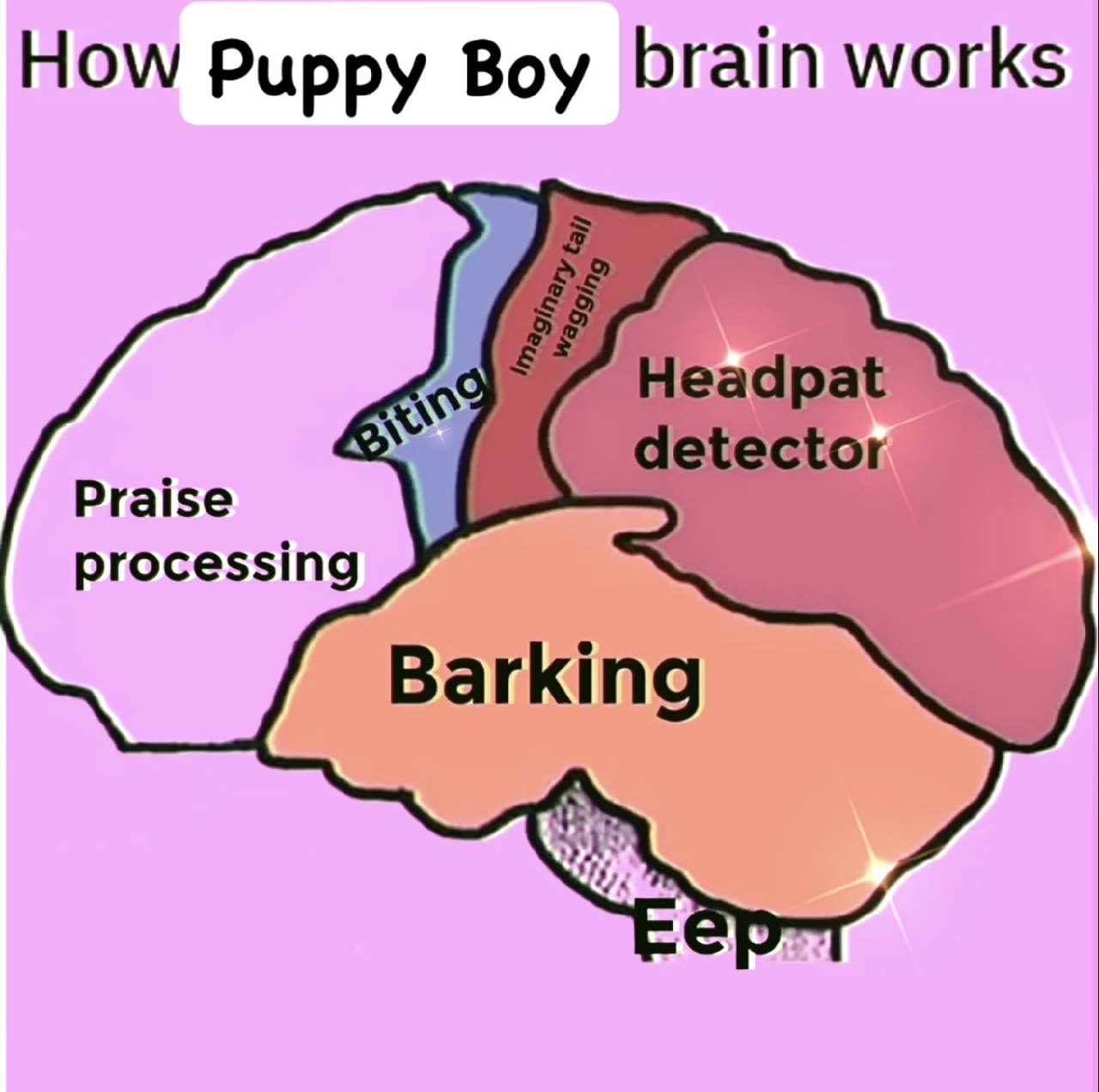 Шуточная схема мозга Puppy Boy с отделами для лая, поглаживаний, похвалы, укусов и виляния воображаемым хвостом.