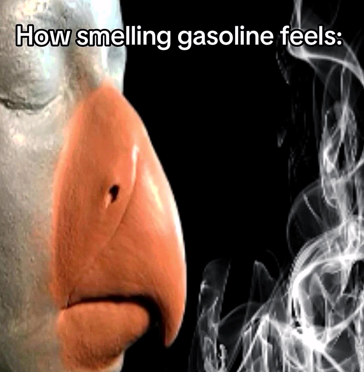 How smelling gasoline feels Мем про ощущения при запахе бензина с большим оранжевым носом и дымом.