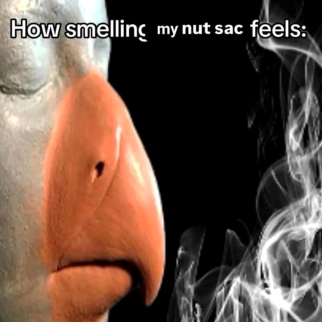 How smelling my nut sac feels Мем "How smelling my nut sac feels" с анимированной ноздрёй, которая вдыхает дым