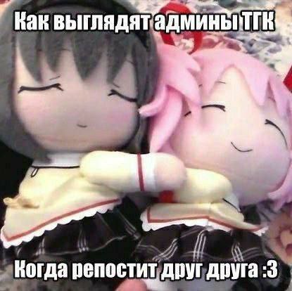 Милые куклы обнимаются: так выглядят админы ТГК, когда репостят друг друга :3