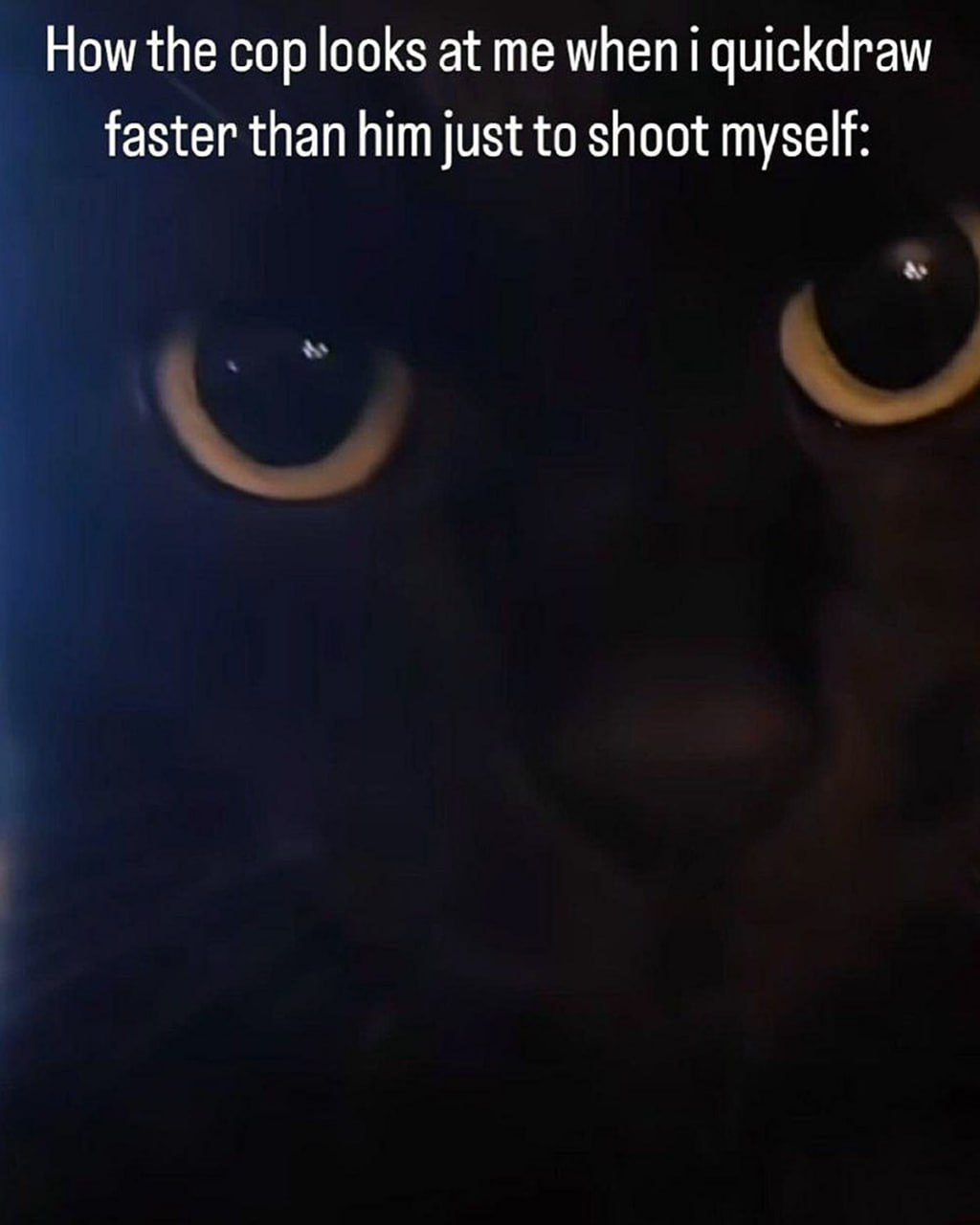 How the cop looks at me when i quickdraw faster than him just to shoot myself Как на меня смотрит коп, когда я выхватываю быстрее него, только чтобы застрелиться