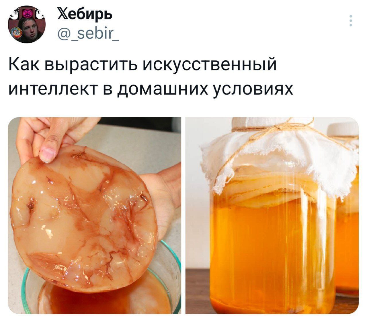 Как вырастить искусственный интеллект в домашних условиях Мем про выращивание искусственного интеллекта в домашних условиях в виде чайного гриба