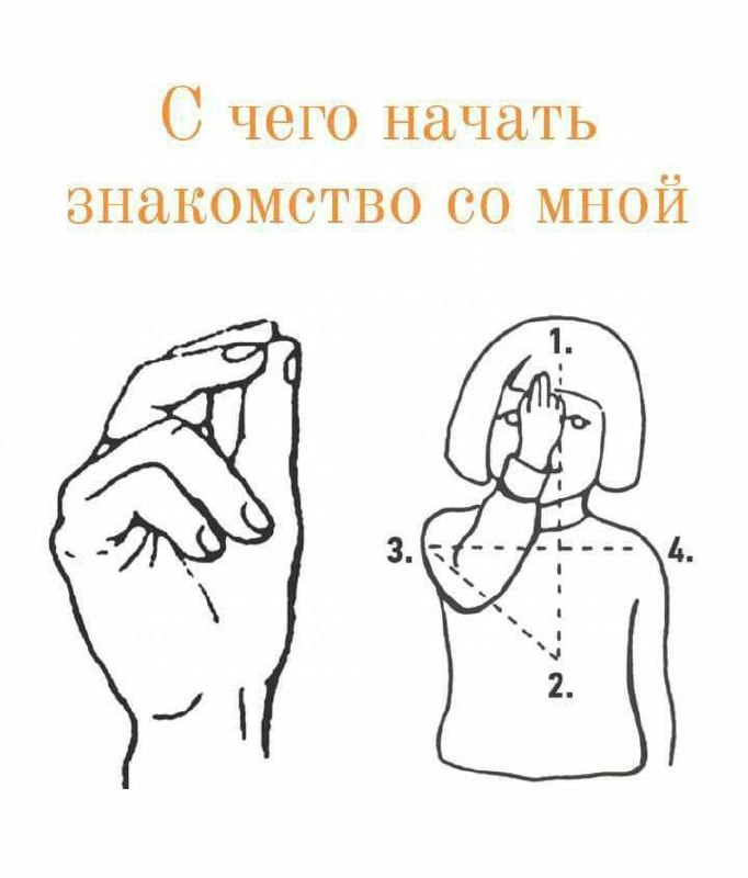 С чего начать знакомство со мной С чего начать знакомство со мной: инструкция