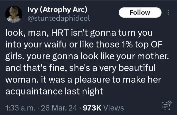 Провокационная шутка о HRT, внешности, waifu и неожиданном сравнении с матерью