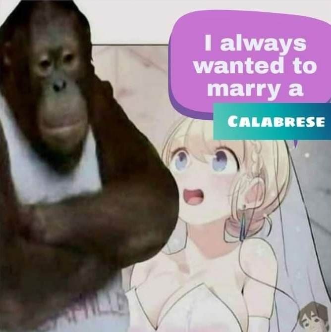 Орангутанг и I always wanted to marry a Calabrese Орангутанг закрывает уши, пока аниме-девушка говорит о желании выйти замуж за калабрийца.