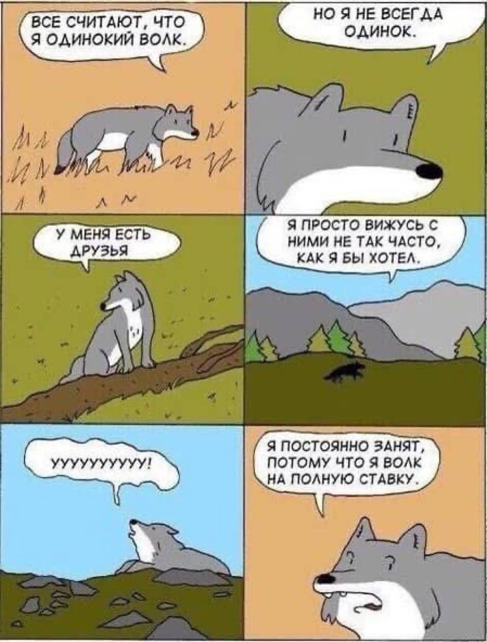 Я волк на полную ставку Мем про волка, который объясняет, что он не одинокий, просто очень занят, потому что "волк на полную ставку"