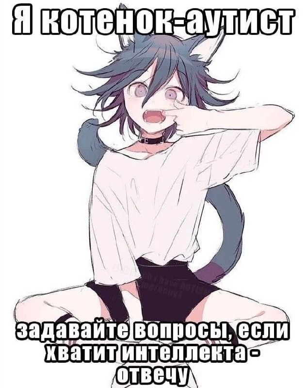 Аниме-девушка с кошачьими ушами и хвостом, сидящая на белом фоне, с надписью «Я котенок-аугист. Задавайте вопросы, если хватит интеллекта — отвечу».
